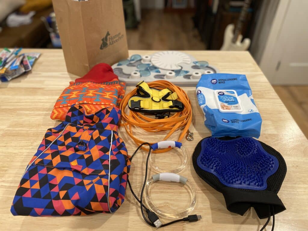camping items for camping with a cat