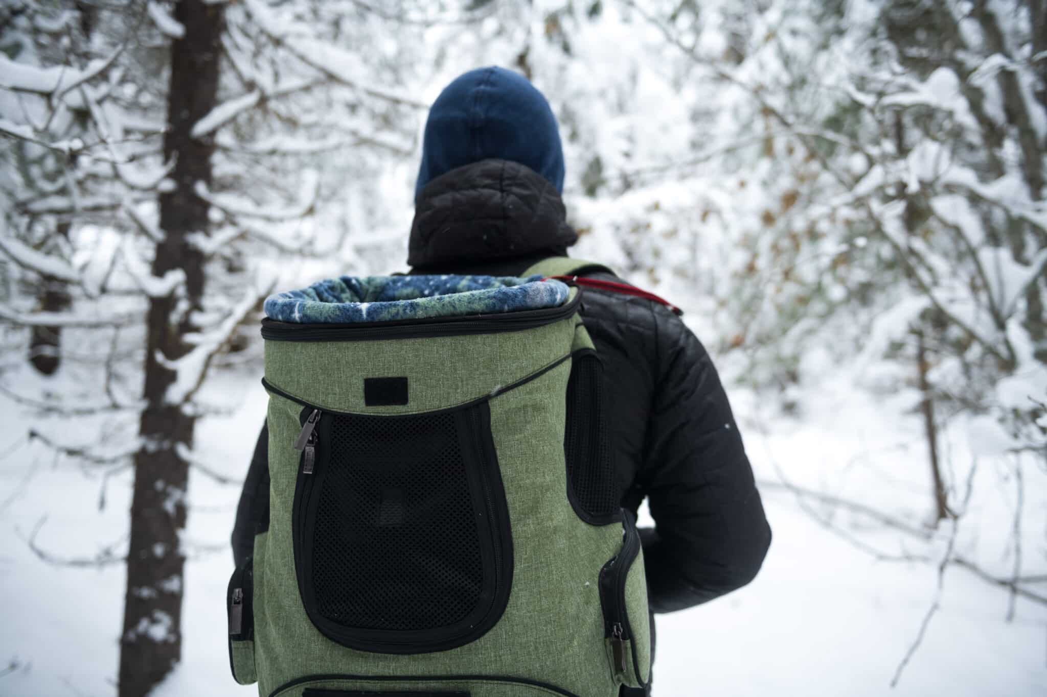 A man is walking through the forest in the winter. The man is wearing a backpack, carrying his adventure cat in it