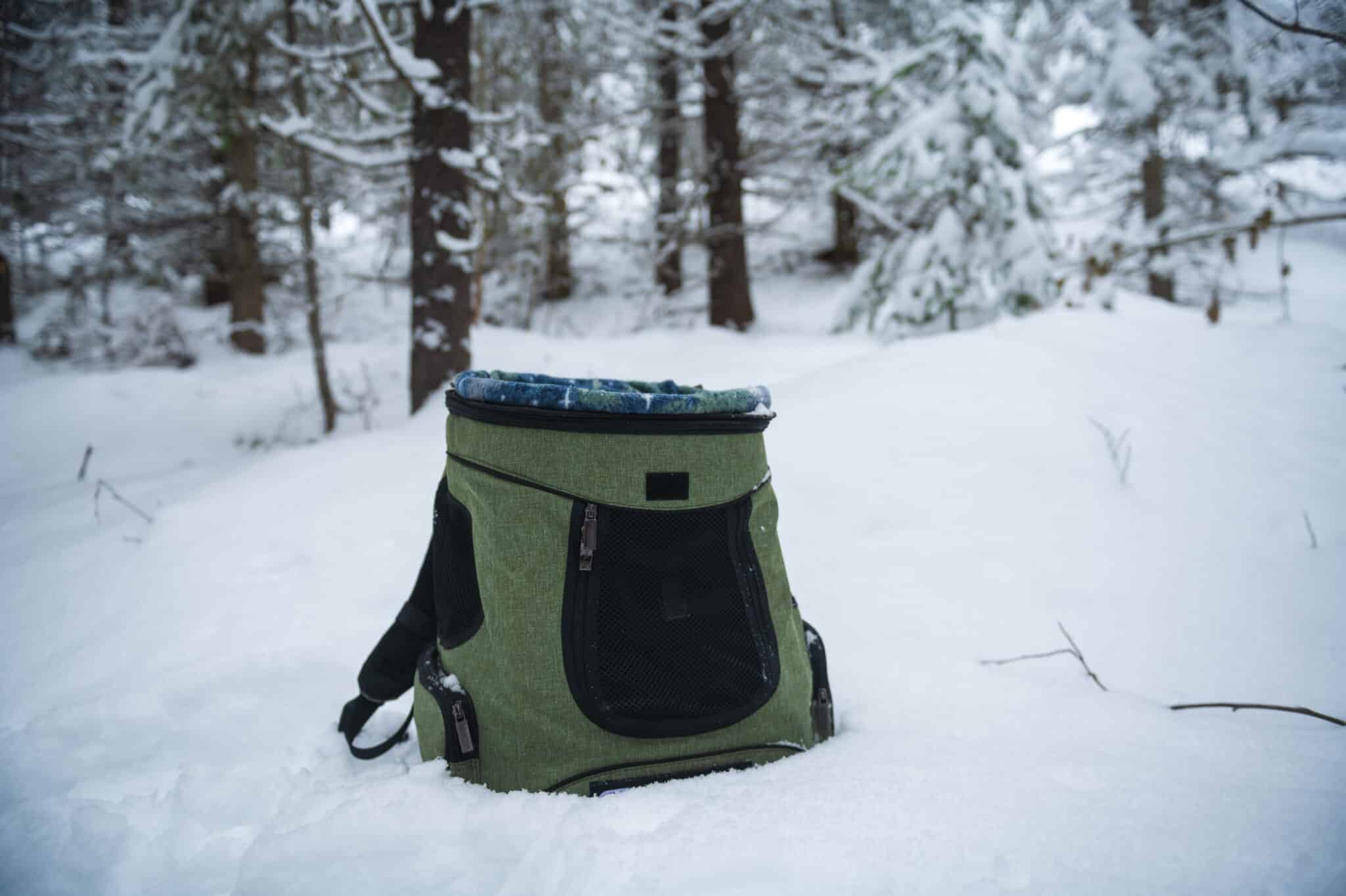 Cat Backpack Carrier sitting on the snow in the forest