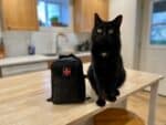 Black cat sitting next to a black first aid kit