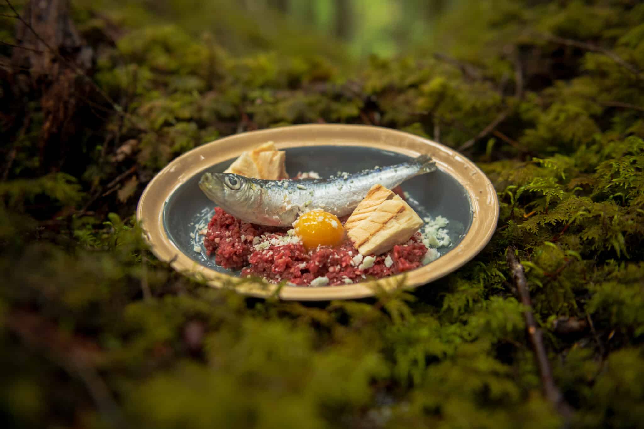 Bowl with appetizing looking, home made raw pet meal